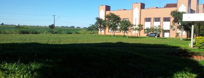 Universidade Estadual do Oeste do Paraná is one of PREFEITO.