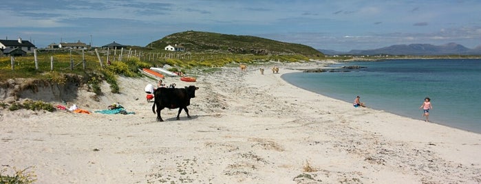 Bunowen Beach is one of Posti che sono piaciuti a Will.