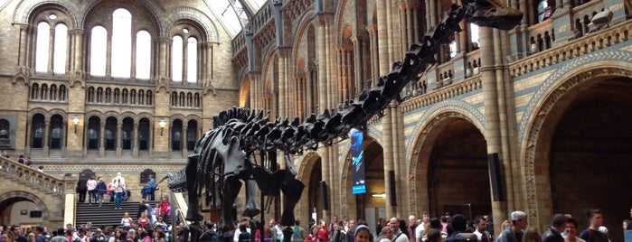 Natural History Museum is one of London : things to do and see.