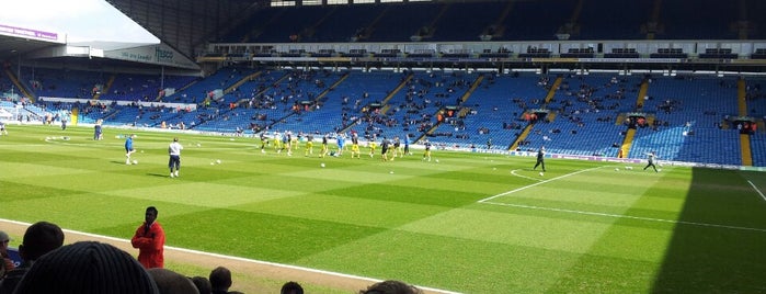 Elland Road is one of English Premier League Grounds 2021/22.