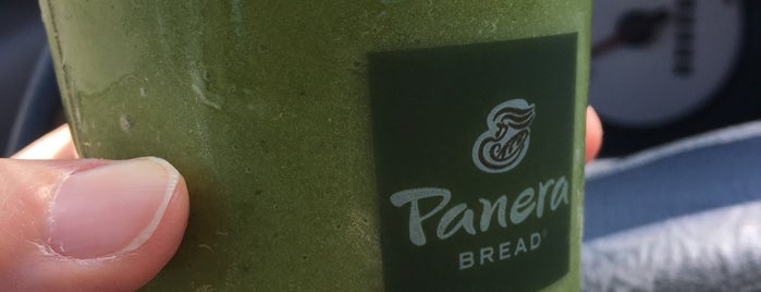 Panera Bread is one of Places locally to try.