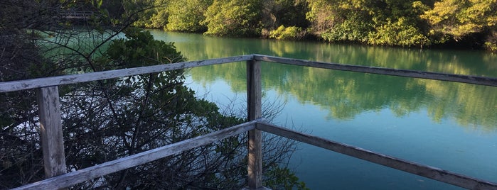 Laguna de las Ninfas is one of Islas Galápagos.