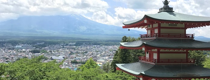 新倉山浅間公園 is one of Vicさんのお気に入りスポット.