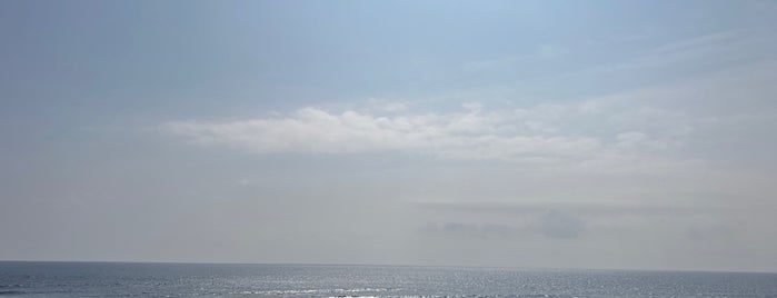 弘法浜遊泳場 is one of 東京界隈の綺麗げな浜🏖.