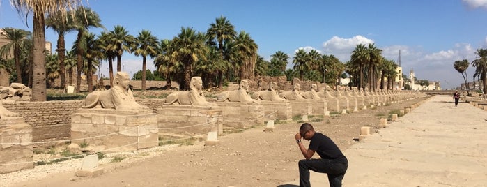 Avenue of the Sphinxes is one of Nile cruises from Hurghada.