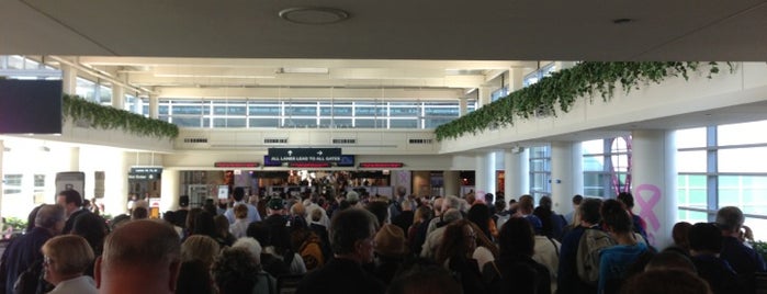 TSA Security Checkpoint is one of Locais curtidos por Andy.