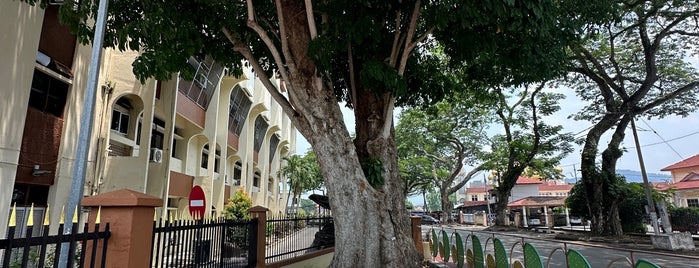 Pokok Getah (The Rubber Tree) is one of Kuala Kangsar.