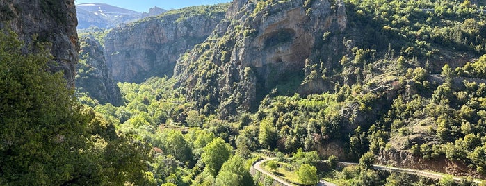 Kadisha Valley / وادي قاديشا is one of A local’s guide: 48 hours in المتن, Lebanon.