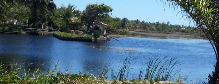 Jauá is one of Eninho.