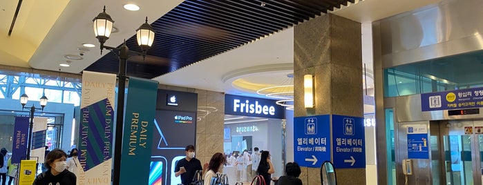 Frisbee is one of Guide to 성남시's best spots.