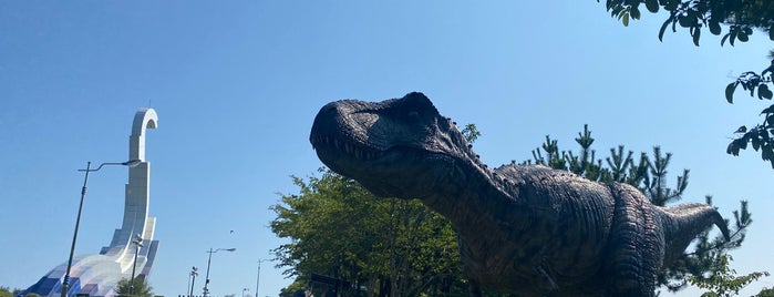 고성 공룡박물관 is one of 박물관, 미술관.