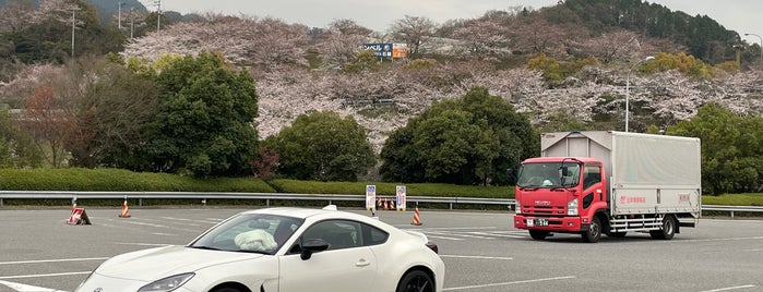 石鎚山SA (上り) is one of 高速・自動車道路PA.