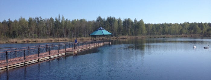 Национальный парк «Орловское полесье» is one of Орловский моцион.