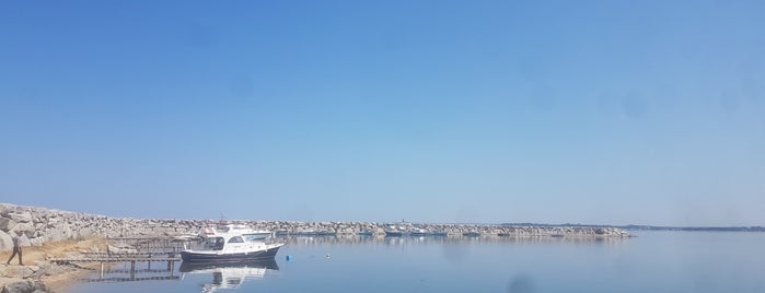 Dalyan Marina is one of Lugares favoritos de 🇹🇷K🖐🏽Ⓜ️🅰️💪.