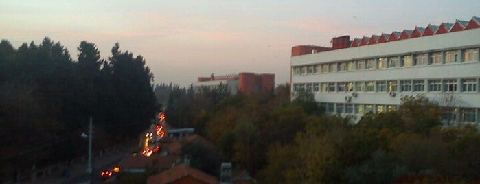Dokuz Eylül Üniversitesi is one of İzmir.