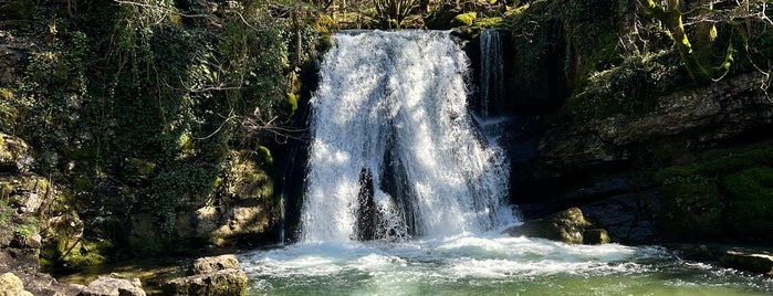 Janet's Foss is one of Yorkshire Dales.