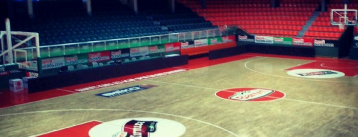 Banvit Kara Ali Acar Spor Salonu is one of Kilic : понравившиеся места.