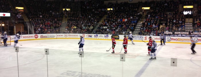 Mary Browns Centre is one of American Hockey League.