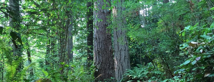 Bloedel Reserve is one of Greater Pacific Northwest.