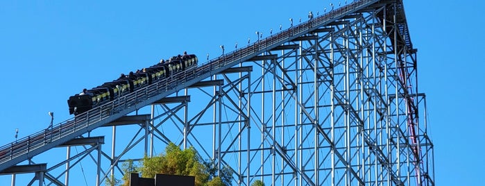 The Mamba is one of ROLLER COASTERS 2.