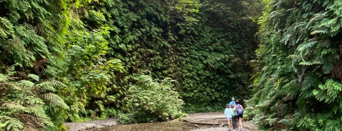 Fern Canyon is one of West Coast Road Trip.