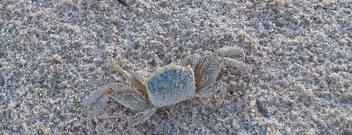 Praia de Ipitanga is one of Favoritos.