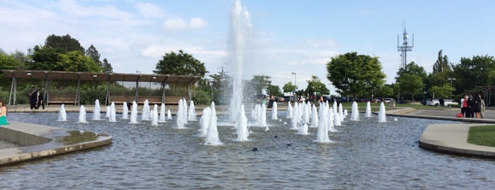 Queen Elizabeth Park is one of Lugares guardados de Nichole.