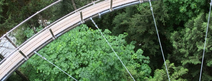 Capilano Suspension Bridge is one of _さんのお気に入りスポット.