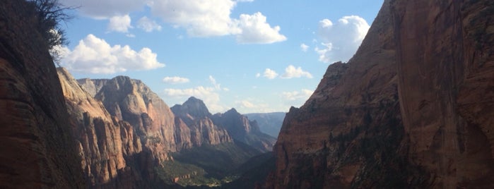 Zion National Park is one of _’s Liked Places.
