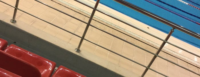 Gençlik Spor Olimpik Yüzme Havuzu is one of Van.