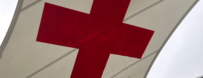 Musée international de la Croix-Rouge et du Croissant-Rouge is one of Genf 2019.