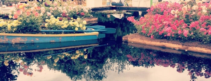 Парк Горького, Фестиваль "Moscow Flower Show" is one of Posti che sono piaciuti a Marina.