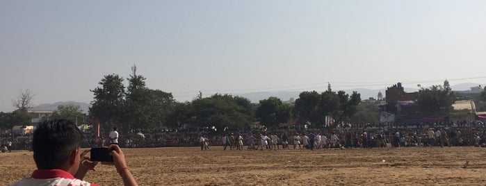 Pushkar Stadium is one of สถานที่ที่ Tania ถูกใจ.