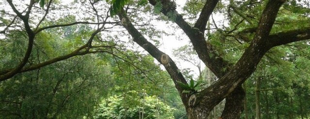 ASEAN Sculptured Garden is one of Attraction Places to Visit.