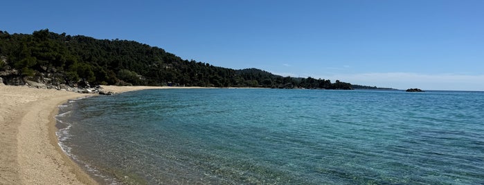 Kalogria Beach is one of Sithonia.
