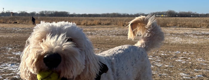 Airport Dog Park is one of South(east) Minneapolis' Best.