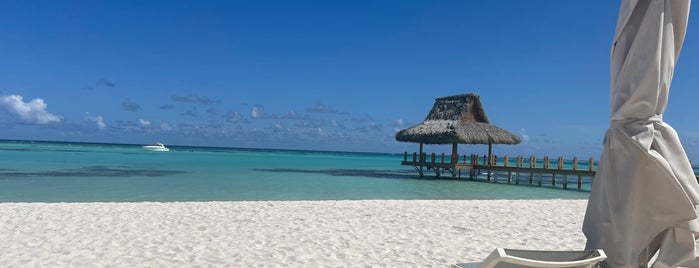 The Westin Puntacana Resort & Club is one of Hotels.