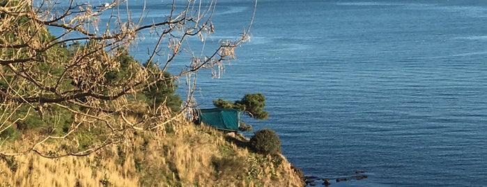 Karakum Gezi Yolu is one of Gidilesi Sinop Mekanları.