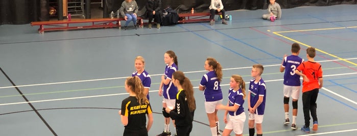 TOGB is one of Voetbalclub Zuid Holland.