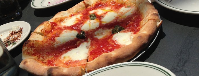 Pizzeria Delfina is one of Yang/Ashwood San Francisco Travel Guide.