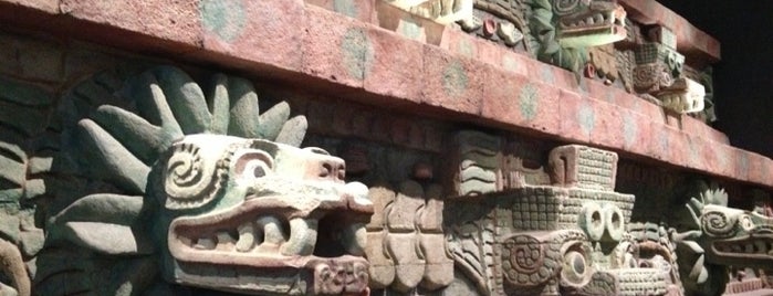 Anthropology Museum of México is one of Mexico City.