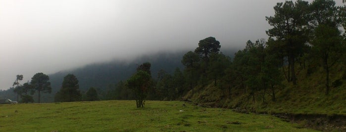 Parque Nacional Cumbres del Ajusco is one of Lugares que quiero ir.