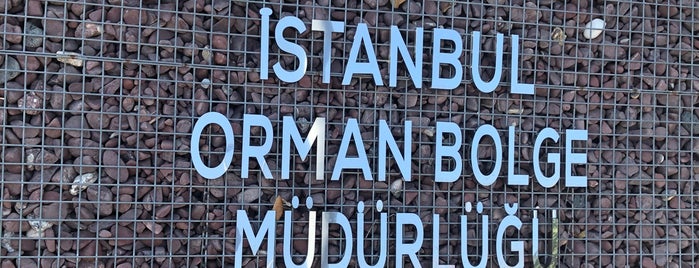 İstanbul Orman Bölge Müdürlüğü is one of Lieux qui ont plu à Mehmet.