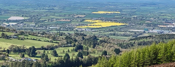 Clonmel / Cluain Meala is one of Frank’s Liked Places.