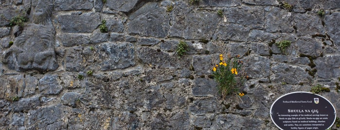 Fethard Town Wall is one of Tempat yang Disukai Frank.