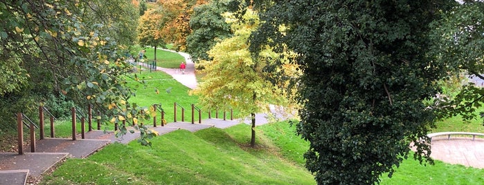 Denis Burke's Park is one of Tempat yang Disukai Frank.