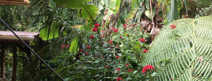 Reserva Natural Atitlán is one of william : понравившиеся места.