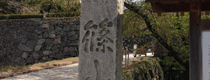 篠山城跡 is one of 日本100名城.