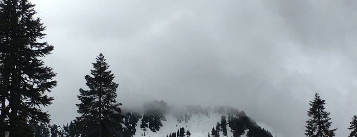 Stevens Pass Ski Area - Bull's Tooth is one of French dip to do.