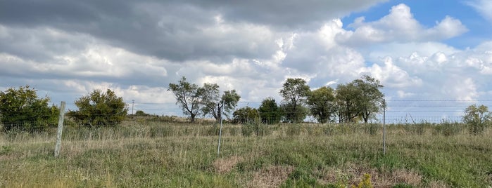 Midewin National Tallgrass Prairie is one of Forest Preserves.